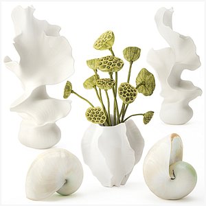 Set vases bouquet dried flowers lotus Nautilus new