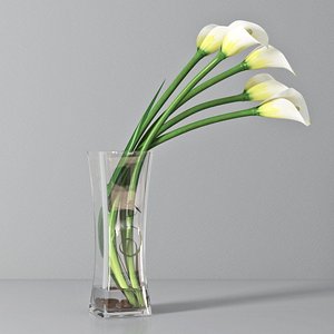 3d model white calla lilies