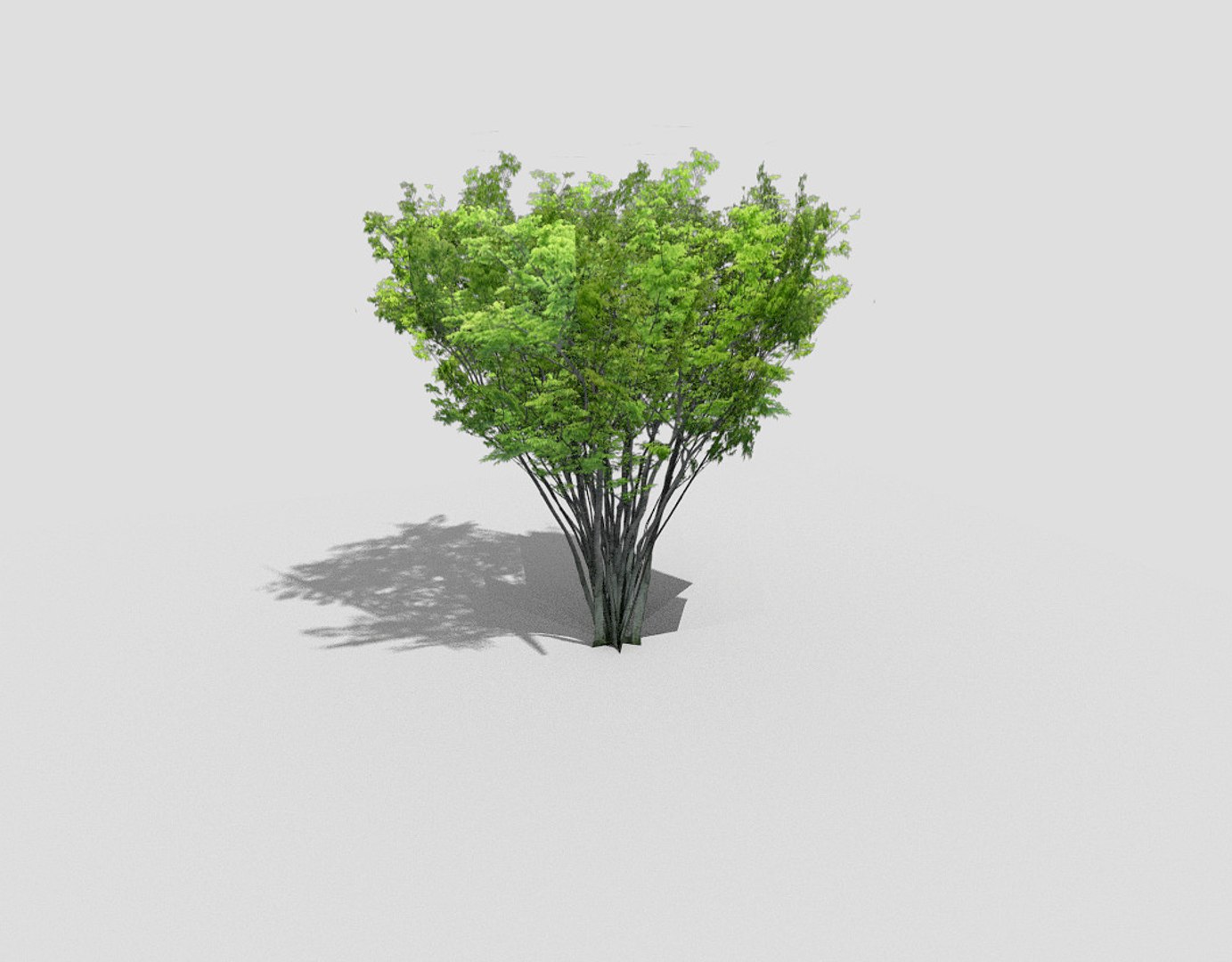 3ds Tree