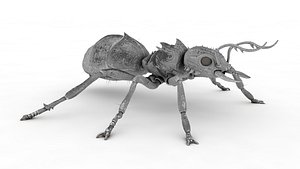 Ant 3D model