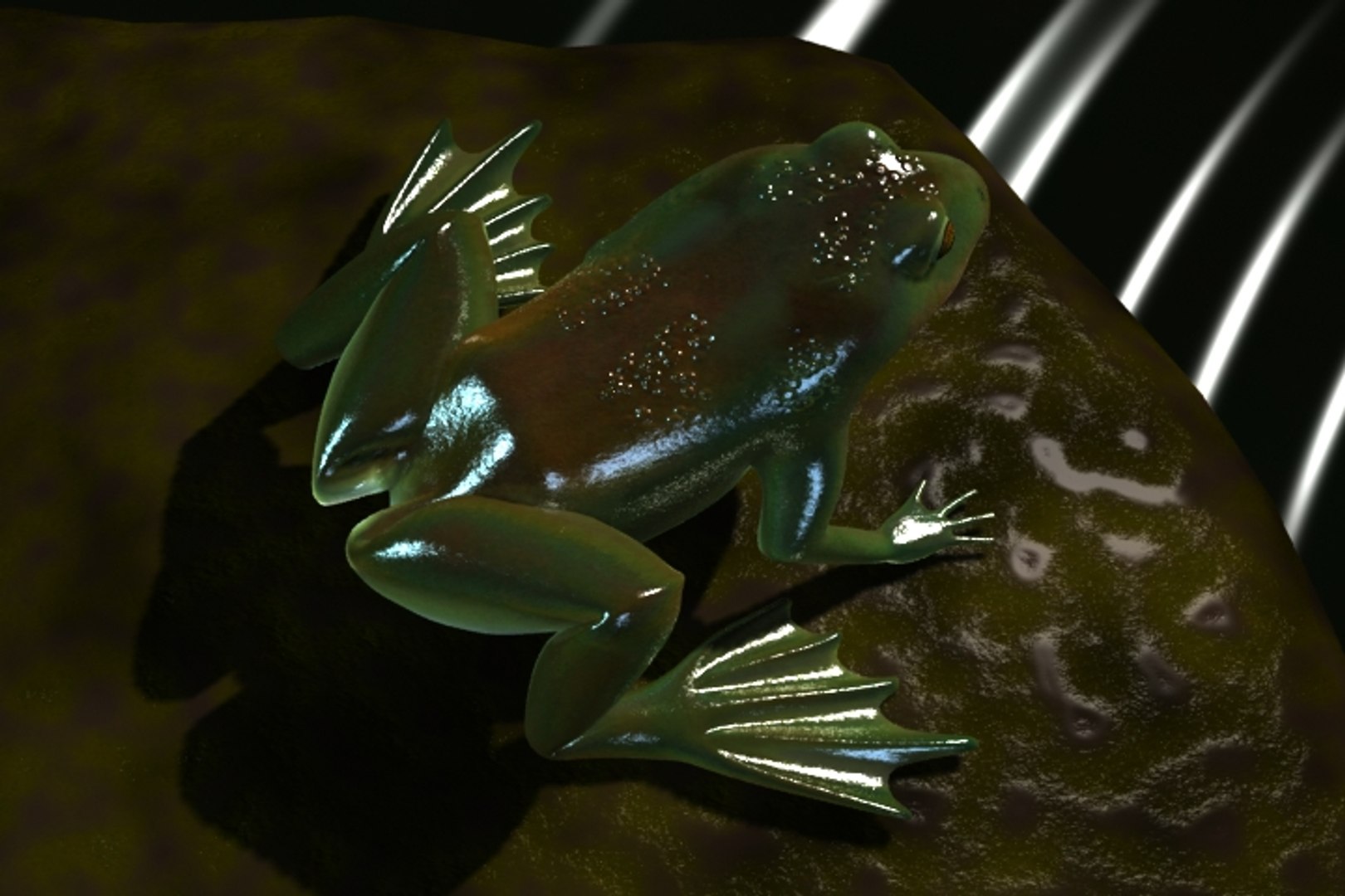 Frog Swamp 3d Model   Frog Model7 