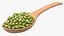 Wooden Spoons with Seeds Collection 4 3D model