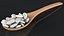 Wooden Spoons with Seeds Collection 4 3D model