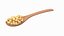 Wooden Spoons with Seeds Collection 4 3D model
