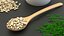 Wooden Spoons with Seeds Collection 4 3D model