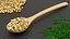 Wooden Spoons with Seeds Collection 4 3D model
