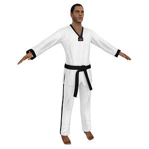 taekwondo martial artist 3D model