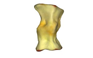 3D apple stub