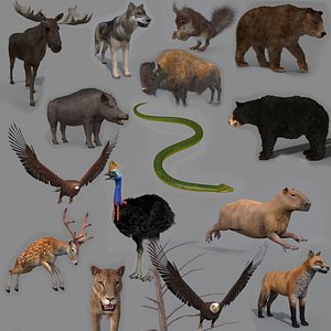 Wanted Forest Animal Pack HD - Animated