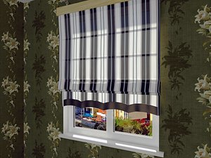 roman shade 3d max