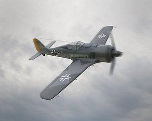 Focke Wulf Fw 190 Plane