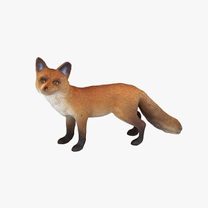 Fox