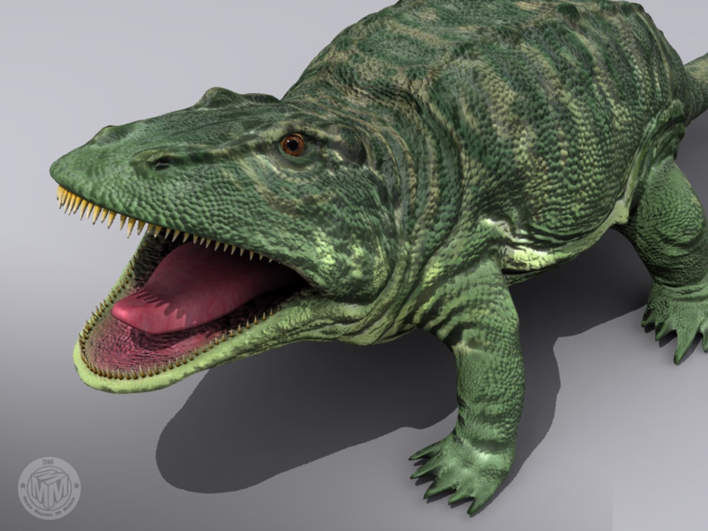 3d Eryops Amphibians Model