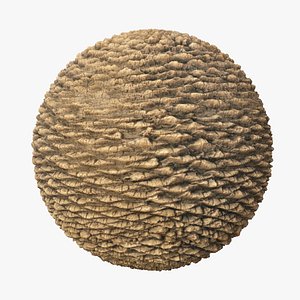 canary palm PBR tiled texture 3D model