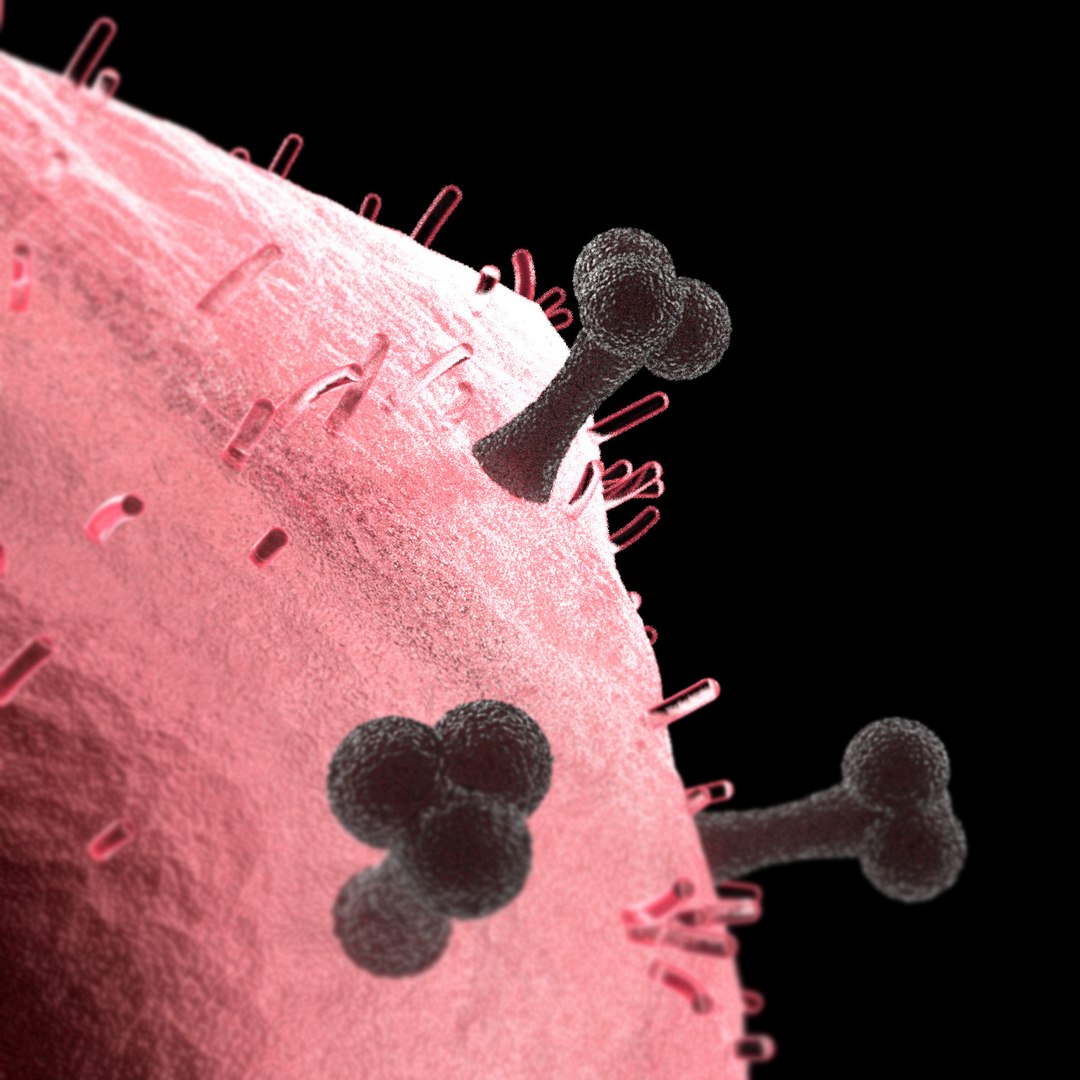 3D microbes bacteria https://p.turbosquid.com/ts-thumb/bR/4JDX89/lhqMo85U/hivhumanimmunodeficiencyvirus_03/jpg/1601890736/1920x1080/fit_q87/6faae861cd06926bf9f2dd96c42131d4bd7f8b4d/hivhumanimmunodeficiencyvirus_03.jpg