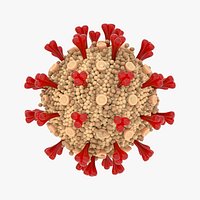 Corona virus