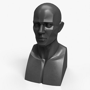 Human Male Bust