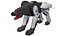 Ravage G1 Rig