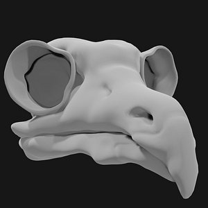 3D Owl Skull
