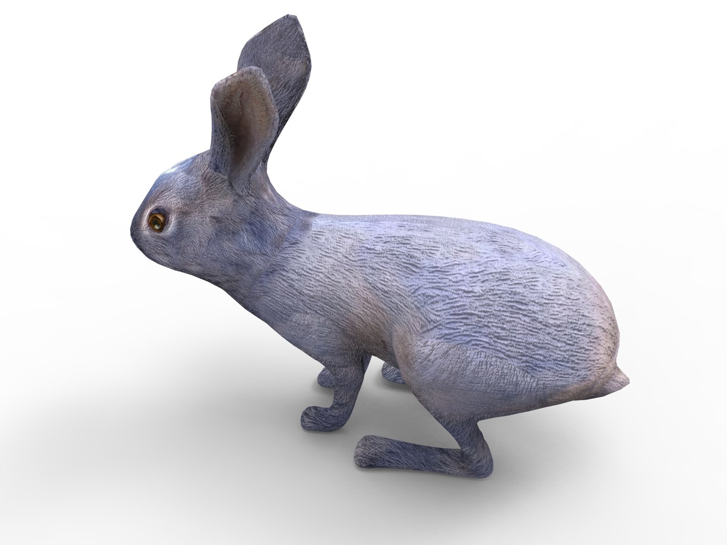 Rabbit Rigged 3D - TurboSquid 1198715