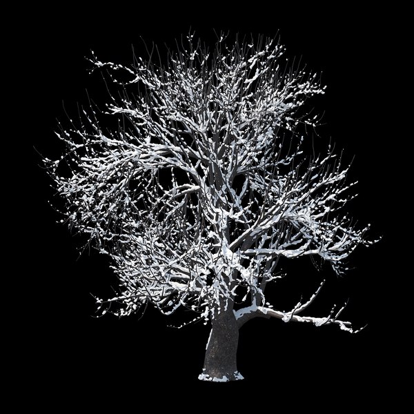 3D winter tree 06