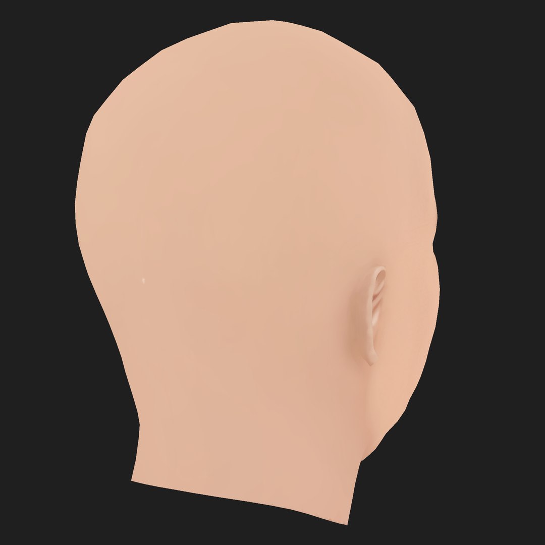 3D model Low Poly Anthony Wong - Huang Qiu Sheng Head https://p.turbosquid.com/ts-thumb/bR/WgZwOB/Qh/05/png/1787277954/1920x1080/fit_q87/b1283a0374a5c957020596b6cbe95c542d8f8ed8/05.jpg