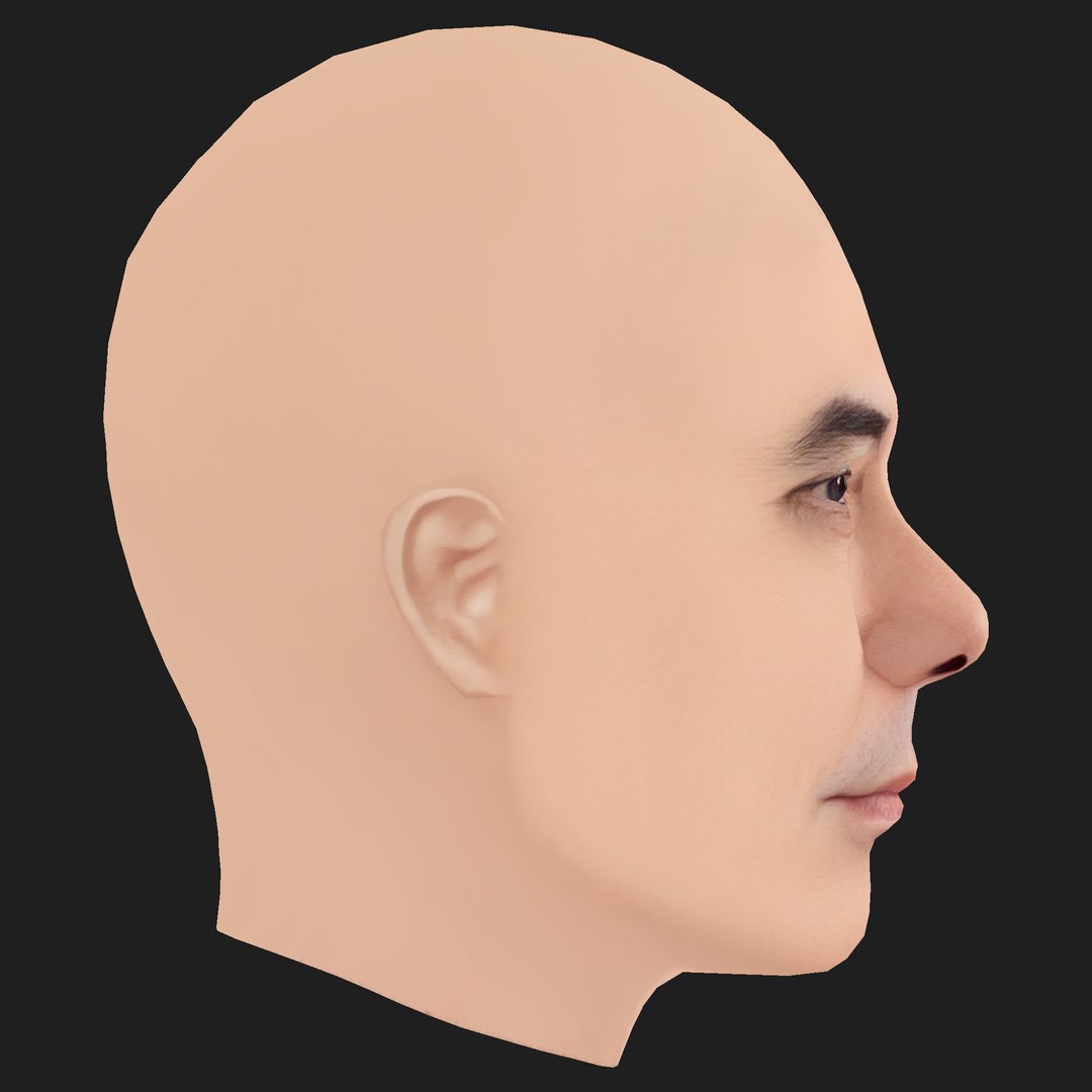 3D model Low Poly Anthony Wong - Huang Qiu Sheng Head https://p.turbosquid.com/ts-thumb/bR/WgZwOB/lj/06/png/1787277957/1920x1080/fit_q87/1c7070b7291b02b36ae4b232c30f0076861fb6e8/06.jpg