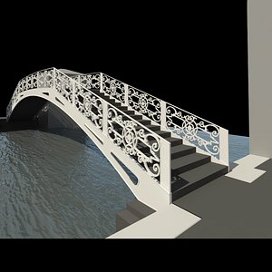 Detailed Iron Bridge Venice: Ponte de Gheto Novo