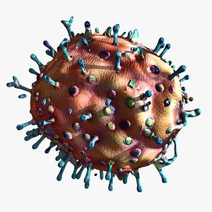 3d bornavirus