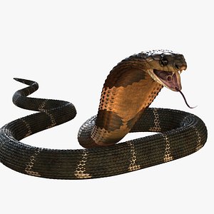 Realistic King Cobra Rig For Maya