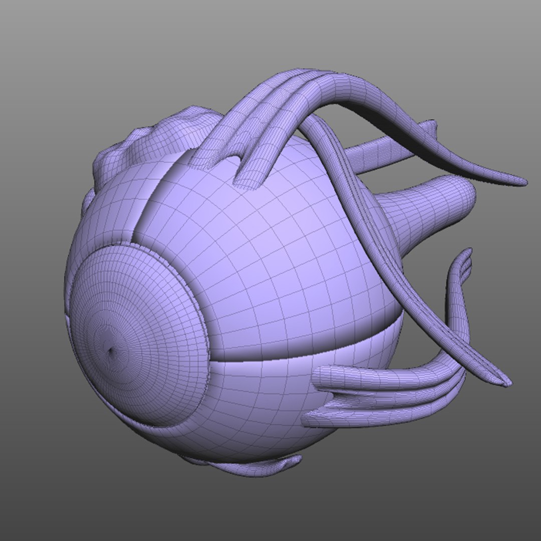 anatomy human eye 3D model https://p.turbosquid.com/ts-thumb/bR/gFNGDL/K98486xH/wire1/jpg/1583692807/1920x1080/fit_q87/552147a85d3cda275d83550b8971b03a509aebe0/wire1.jpg