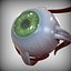 Eye anatomy green