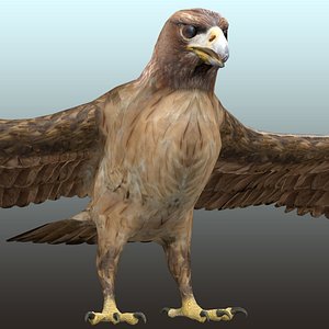 3D Golden Eagle Rigged