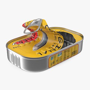 Half Open Empty Rectangular Sardine Can