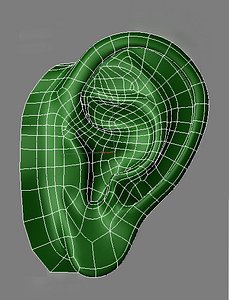 3d max human ear