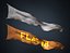 3D 20 Fully Loop Animated Flags model