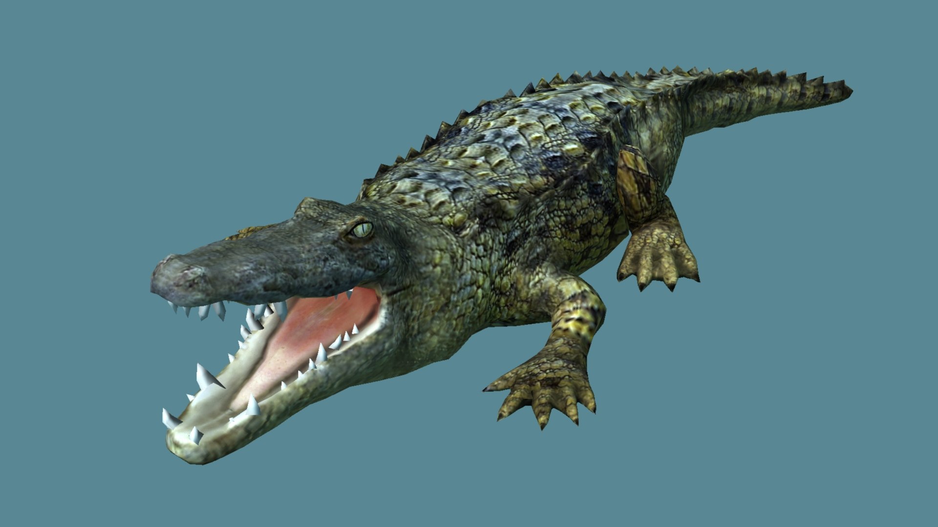 3D Crocodile - TurboSquid 2211159