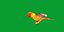 Golden Conure Parakeet