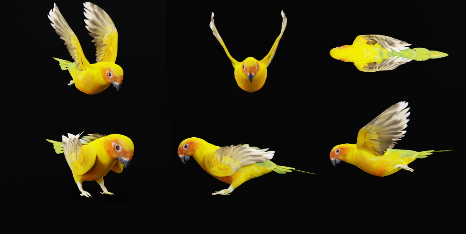 Golden Conure Parakeet model https://p.turbosquid.com/ts-thumb/bS/COGDQZ/Co/all_thumbnail/png/1738717560/1920x1080/fit_q87/62630820a7596d95e4c1a2822604b40687457d16/all_thumbnail.jpg