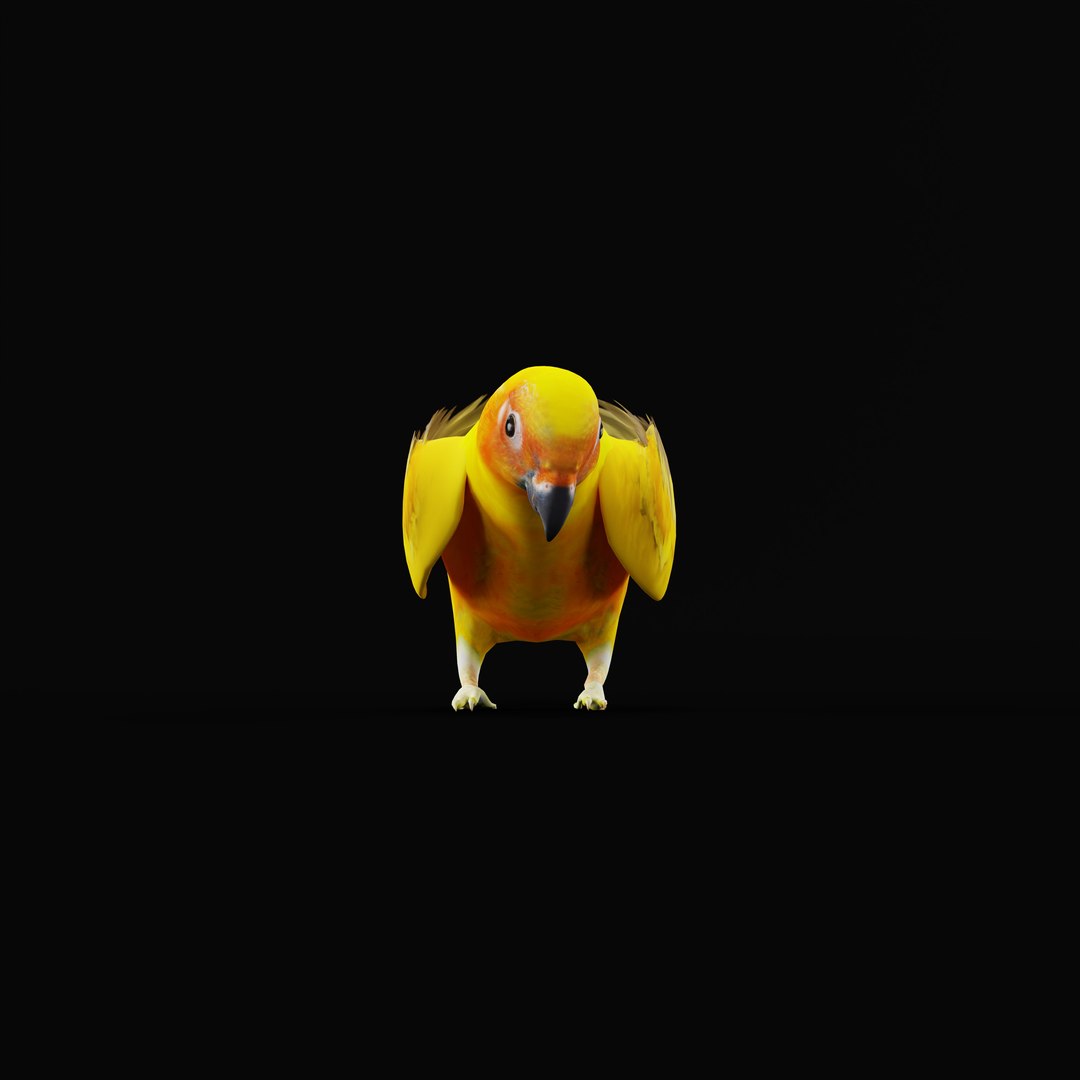 Golden Conure Parakeet model https://p.turbosquid.com/ts-thumb/bS/COGDQZ/Qd/conureparrotbirdrig_0001/jpg/1738717611/1920x1080/fit_q87/6bc5fe6fb7e80c9cfa4a4370b3e575e661bbf9d1/conureparrotbirdrig_0001.jpg