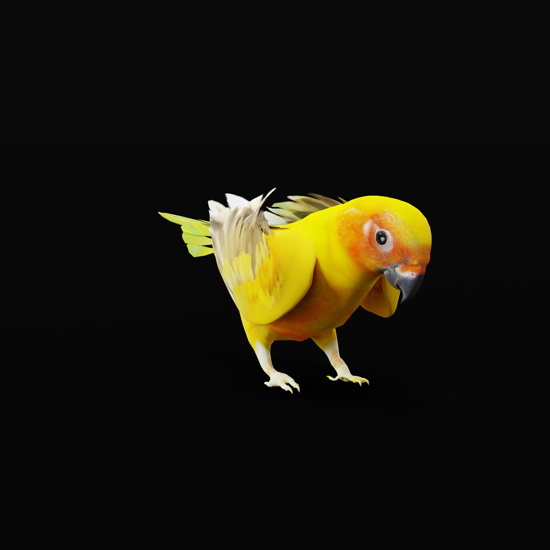 Golden Conure Parakeet model https://p.turbosquid.com/ts-thumb/bS/COGDQZ/Ra/conureparrotbirdrig_0000/jpg/1738717611/1920x1080/fit_q87/e86925570d3fafe3aac537ee0ea4c67c934cbbbc/conureparrotbirdrig_0000.jpg