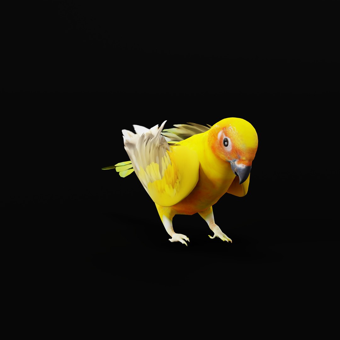 Golden Conure Parakeet model https://p.turbosquid.com/ts-thumb/bS/COGDQZ/ib/conureparrotbirdrig_0011/jpg/1738717586/1920x1080/fit_q87/a4af3374d959d0d7e6c21c9fb5d85f90f070b288/conureparrotbirdrig_0011.jpg