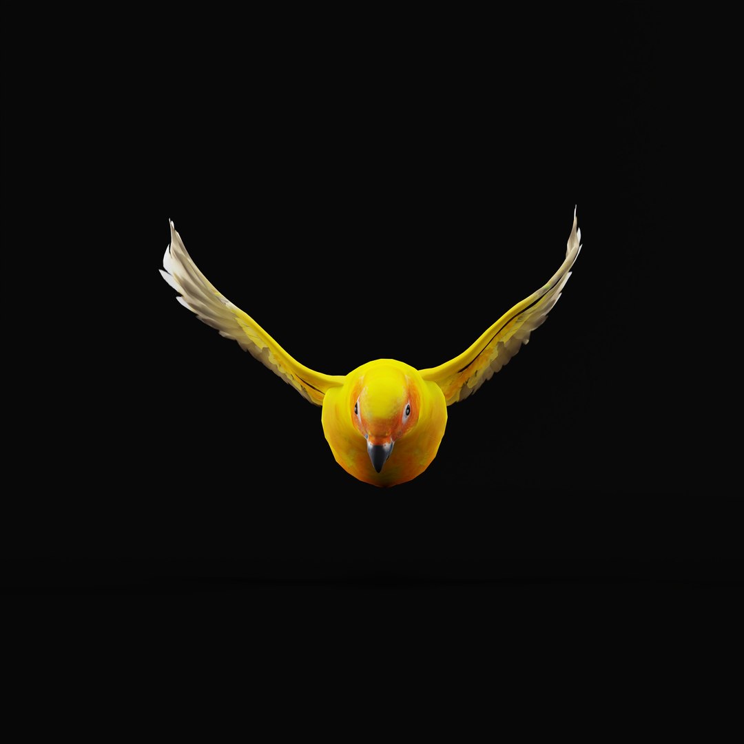 Golden Conure Parakeet model https://p.turbosquid.com/ts-thumb/bS/COGDQZ/iw/conureparrotbirdrig_0005/jpg/1738717583/1920x1080/fit_q87/1fb00ba4e1df442276daf64bdc7ab716b4e8daa7/conureparrotbirdrig_0005.jpg