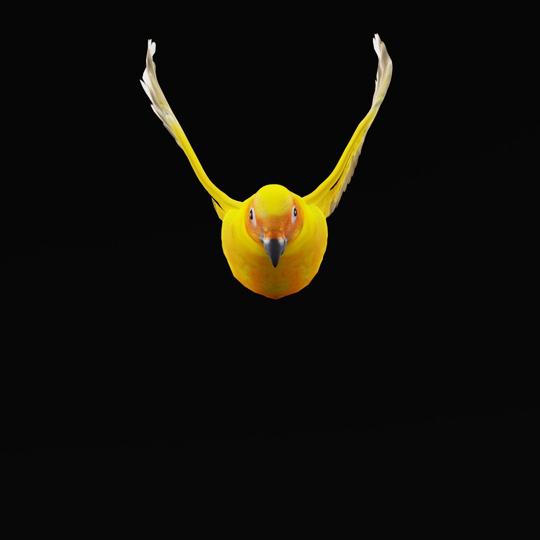 Golden Conure Parakeet model https://p.turbosquid.com/ts-thumb/bS/COGDQZ/sE/conureparrotbirdrig_0008/jpg/1738717585/1920x1080/fit_q87/75a8c459b401cd8716380b38a5210ec694b0b66d/conureparrotbirdrig_0008.jpg
