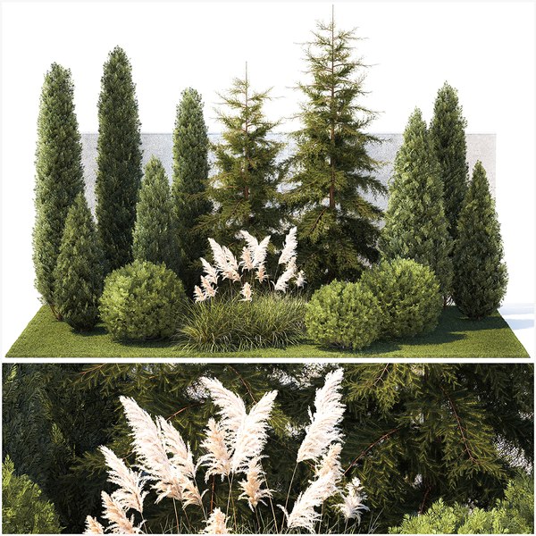 3D модель Сад с деревьями туя кипарисовая ель Cortaderia 1388 ...