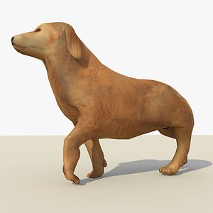 3d model golden retriever dog animations