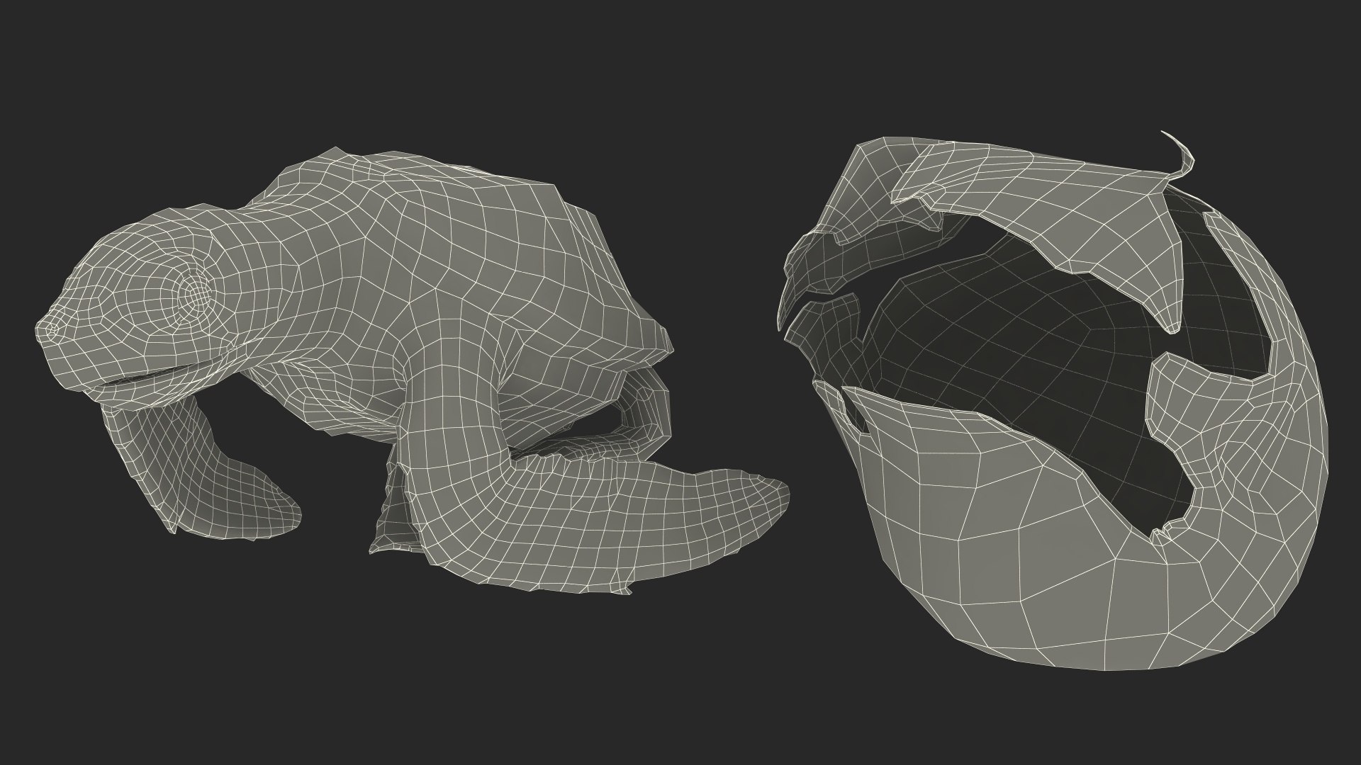 3D Baby Sea Turtle Hatching https://p.turbosquid.com/ts-thumb/bS/P1gEUG/9i/babyseaturtlehatchingvray3dmodel032/jpg/1709922886/1920x1080/fit_q87/e95dd4c56bf83113924e55096085a8773c8c1c74/babyseaturtlehatchingvray3dmodel032.jpg
