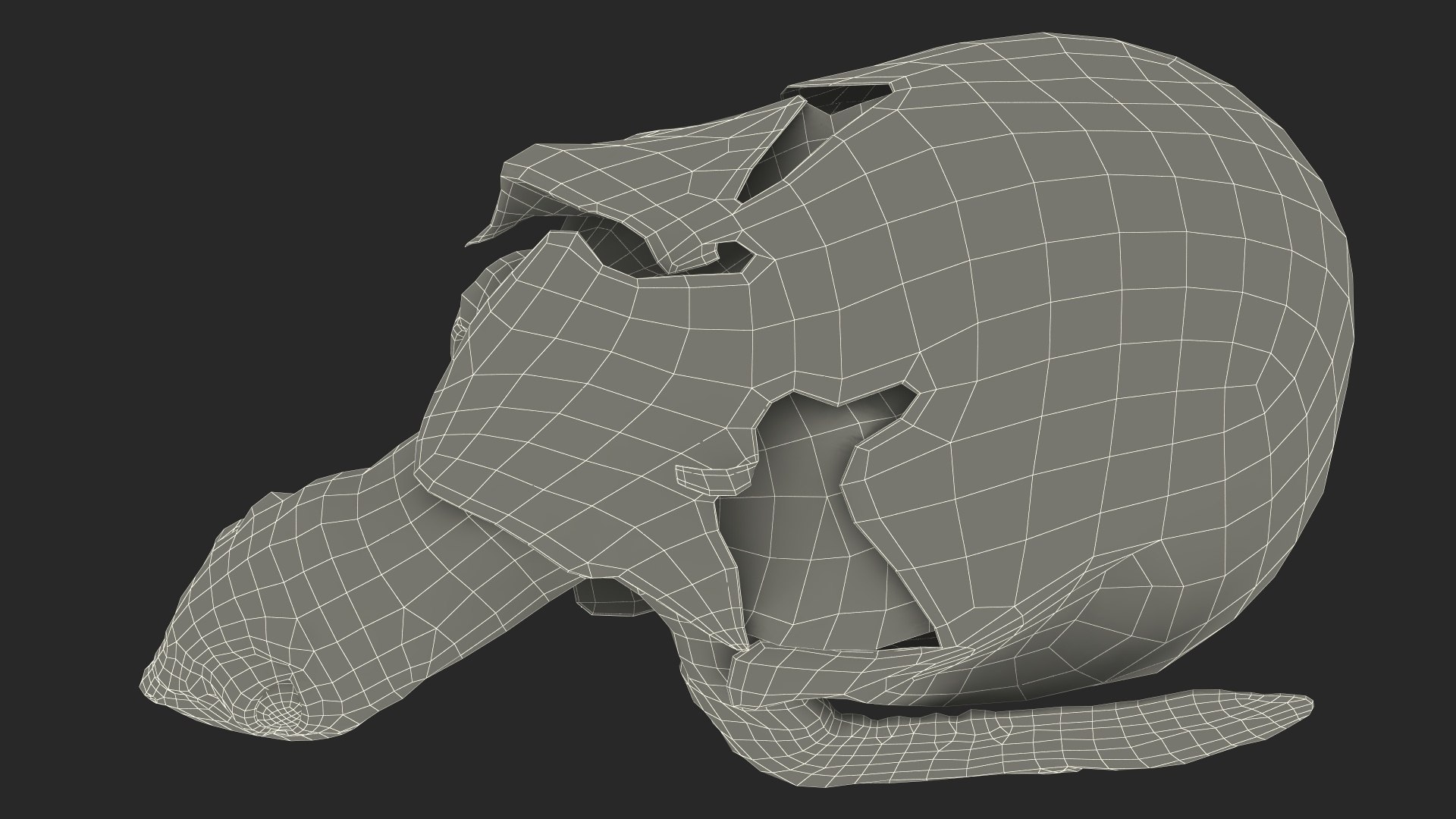 3D Baby Sea Turtle Hatching https://p.turbosquid.com/ts-thumb/bS/P1gEUG/Af/babyseaturtlehatchingvray3dmodel031/jpg/1709922882/1920x1080/fit_q87/038822400d0b165069eb6b4d379a1dd153ecf1d9/babyseaturtlehatchingvray3dmodel031.jpg
