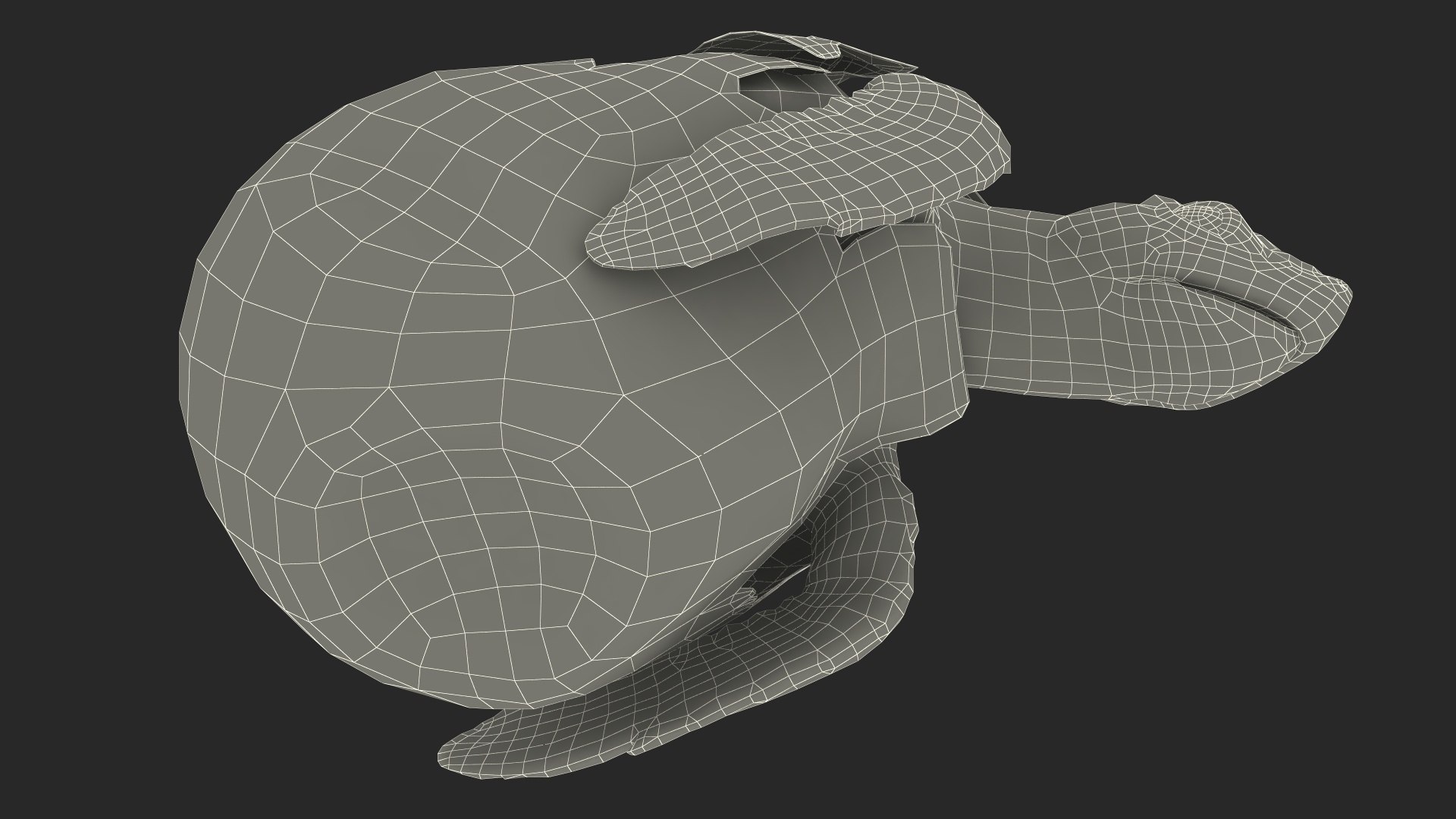3D Baby Sea Turtle Hatching https://p.turbosquid.com/ts-thumb/bS/P1gEUG/QJ/babyseaturtlehatchingvray3dmodel030/jpg/1709922878/1920x1080/fit_q87/d44a4412a6339e2569a98a1f7fddb9896e37a469/babyseaturtlehatchingvray3dmodel030.jpg