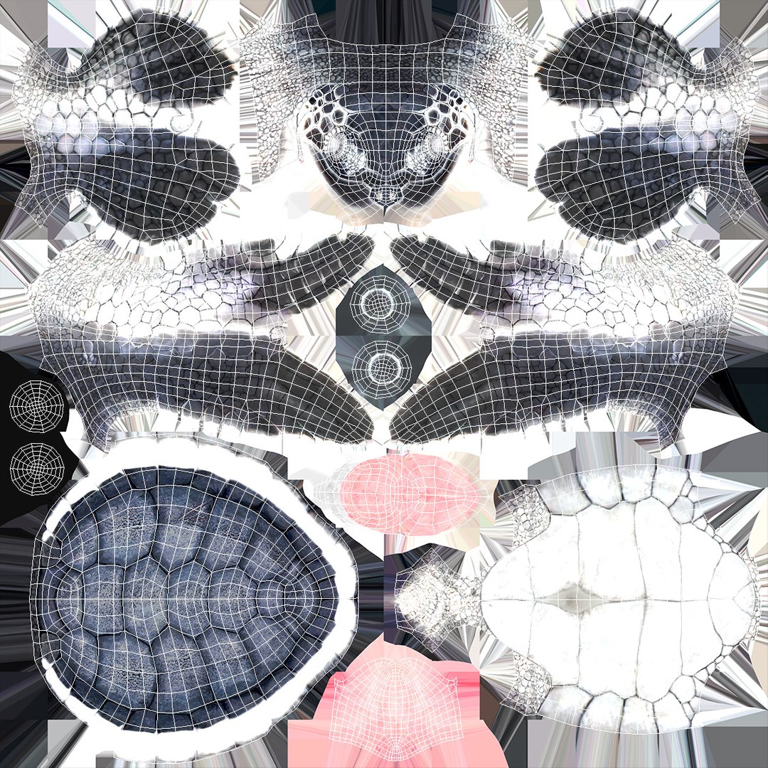 3D Baby Sea Turtle Hatching https://p.turbosquid.com/ts-thumb/bS/P1gEUG/Qw/babyseaturtlehatchingvray3dmodel021/jpg/1709922839/1920x1080/fit_q87/6696c01854c41a81f9b9f2955d7f29bd9f384529/babyseaturtlehatchingvray3dmodel021.jpg